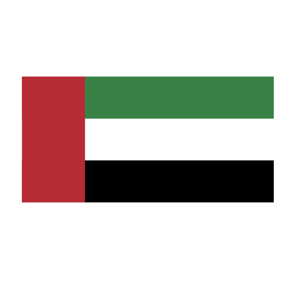UAE Flag size 100x300cm