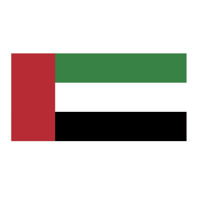 UAE Flag 200 x 600cm